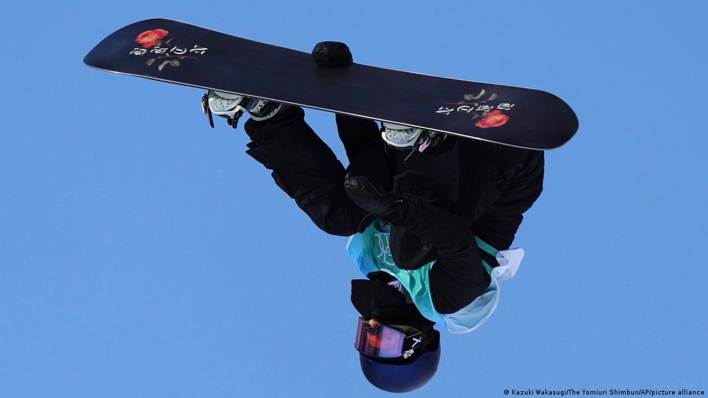 Dog watching the World go by.